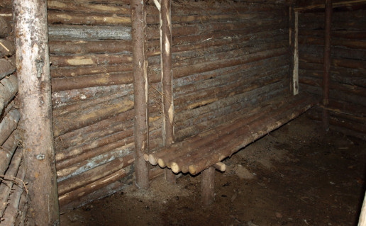 11_Partizanų žeminės (3). Autorė N. Ribokaitė.jpg